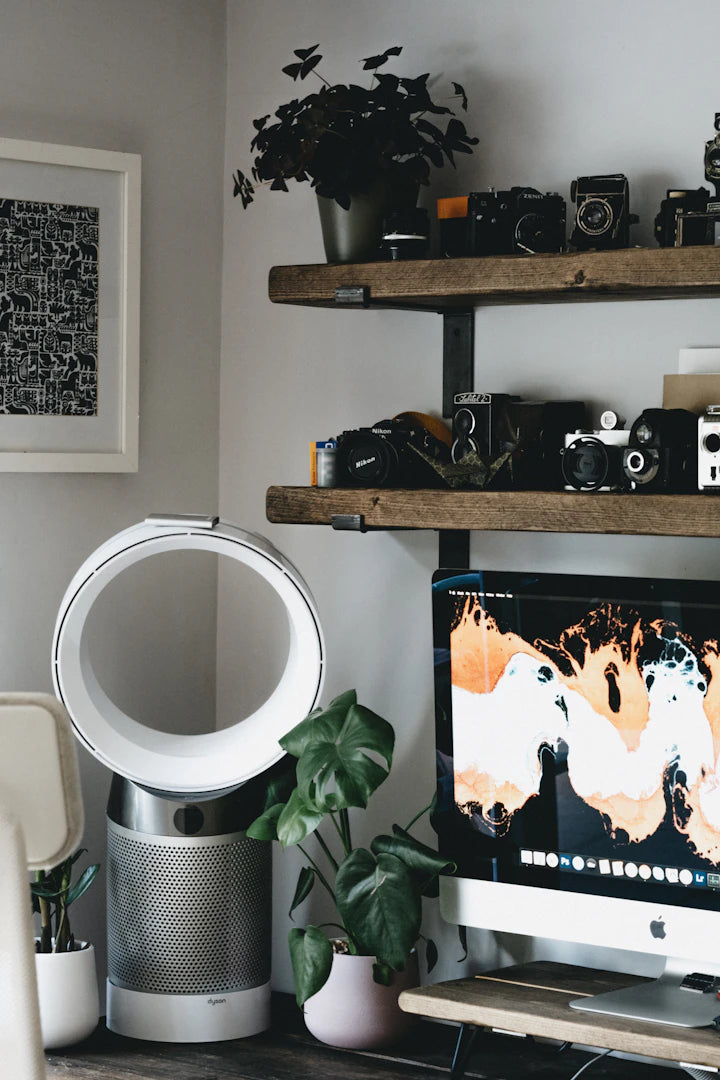 Essential Seasonal Tips for Dyson Filter Care