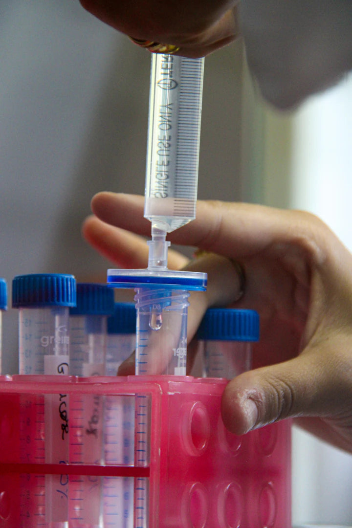The Environmental Impact of Cleaning and Replacing Filters