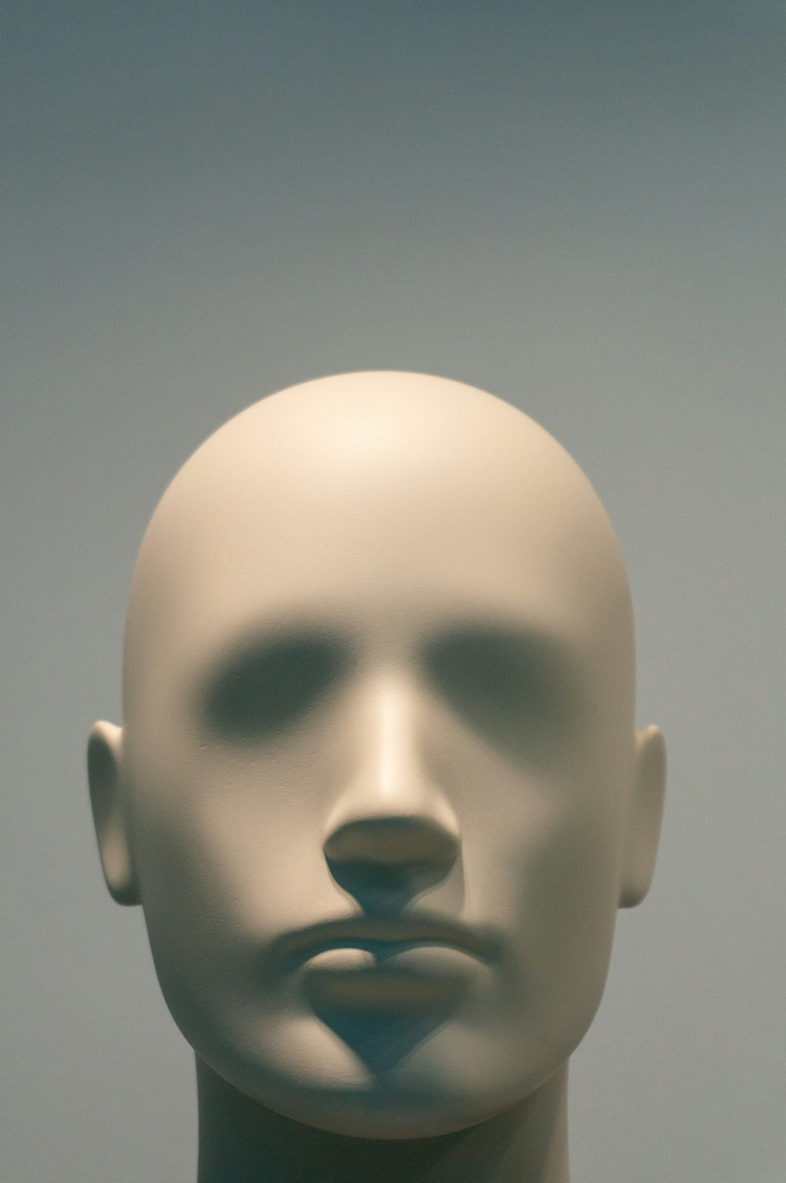 A close-up of a bald mannequin head
